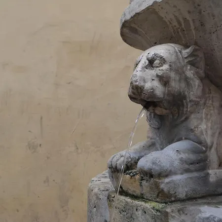B&B La Fontana dei Cani-2